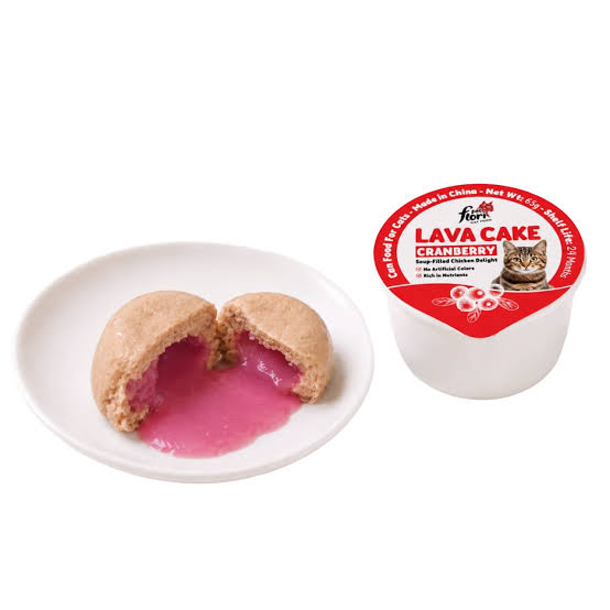 Lava Cake for Cats